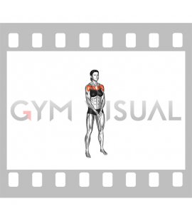Chest Pressdown (female)