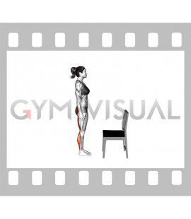 Standing Half Bend Chair Supported (female)