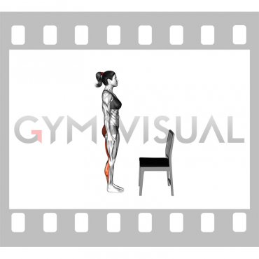 Standing Half Bend Chair Supported (female)