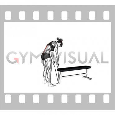 Band Back Extension (female)