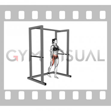 Band Standing Straight Leg Raise (female)