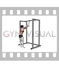 Band Straight Arm Pulldown (female)