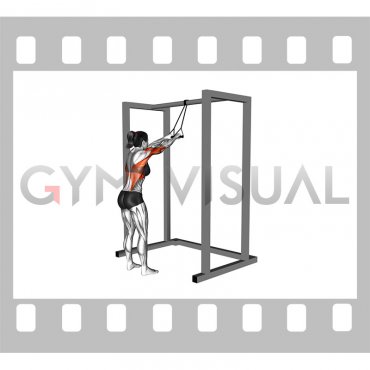 Band Straight Arm Pulldown (female)