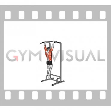 Muscle-up (On Vertical Bar)