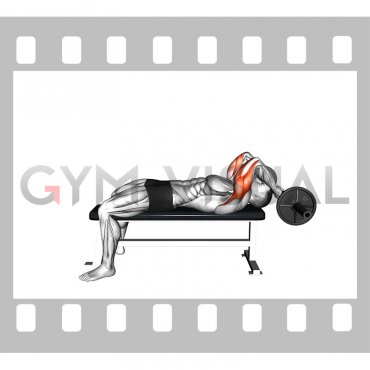 EZ-Bar Lying Close Grip Triceps Extension behind Head