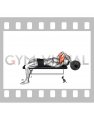 EZ-Bar Lying Close Grip Triceps Extension behind Head