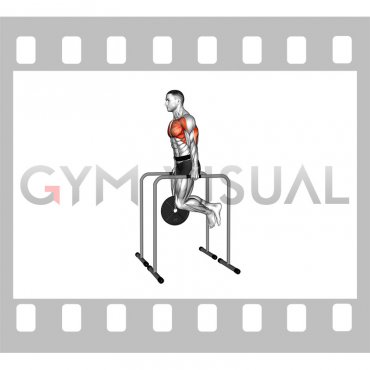 Weighted Triceps Dip On High Parallel Bars