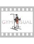 Vertical Leg Raise (On Parallel Bars) (female)