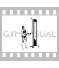 Cable Standing Shoulder External Rotation (female)