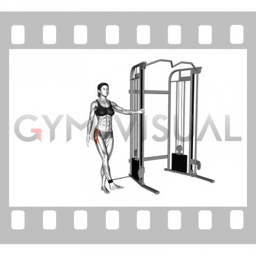 Cable Hip Abduction (Toe In) (female)