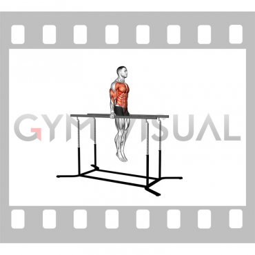 Elbow Dips