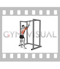 Band Standing Straight Arm Pulldown