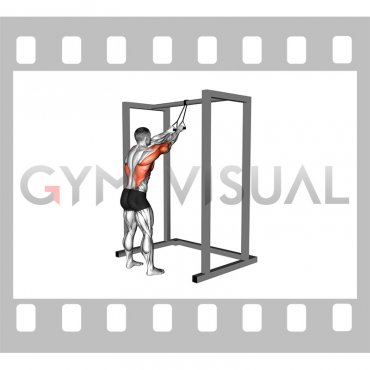 Band Standing Straight Arm Pulldown