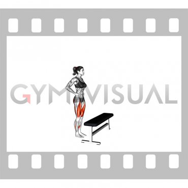Single Leg Step-up on Bench (female)