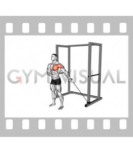 Band Single Arm Low Fly (male)