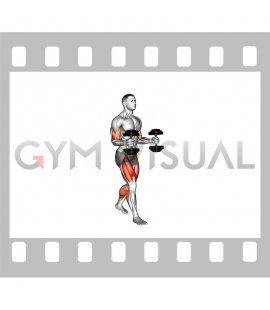 Dumbbell Biceps Carry