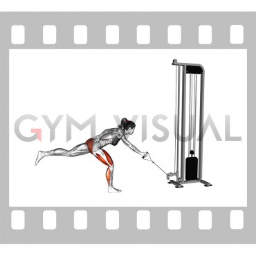 Cable Single Leg Romanian Deadlift (female)