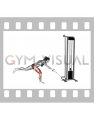 Cable Single Leg Romanian Deadlift (female)