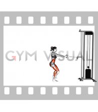 Cable Backward Forward Walk (female)