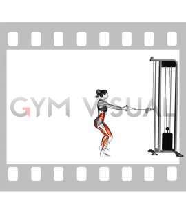 Cable Backward Forward Walk (female)