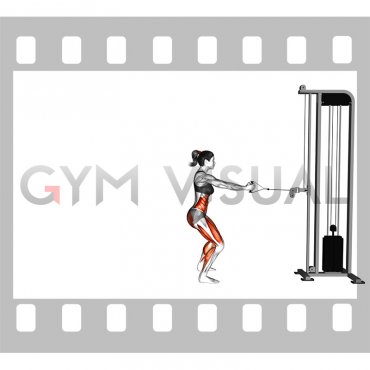 Cable Backward Forward Walk (female)