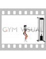 Cable Backward Forward Walk (female)
