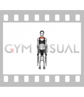 Seated Look-up Down Left Right Neck Stretch on a Chair (female)