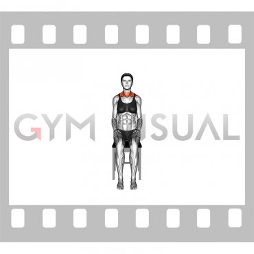 Seated Look-up Down Left Right Neck Stretch on a Chair (female)