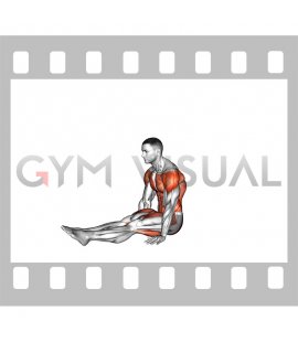 V-Sit (advanced)