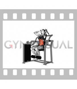 Lever Total Abdominal Crunch (female)