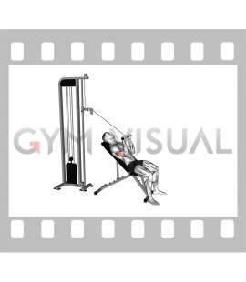 Cable Incline Pressdown