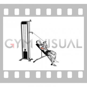 Cable Incline Pressdown