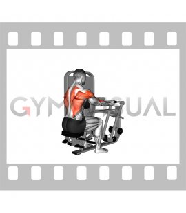 Lever Supinated Grip Seated Row