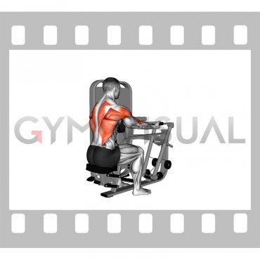 Lever Supinated Grip Seated Row