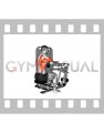 Lever Supinated Grip Seated Row