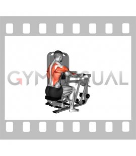 Lever Alternating Supinated Grip Seated Row