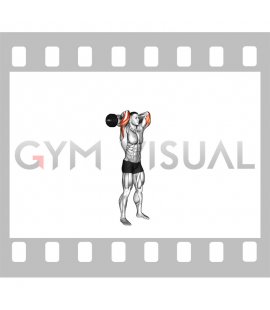 Olympic Barbell Standing Triceps Extension
