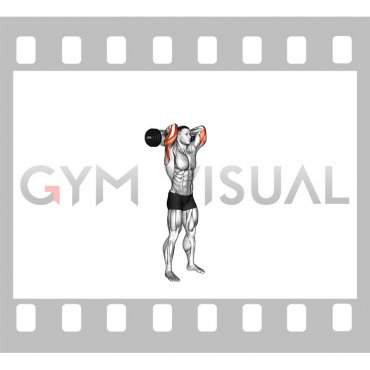 Olympic Barbell Standing Triceps Extension