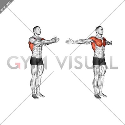 Chest Stretch  Illustrated Exercise Guide