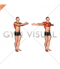 Dynamic Chest Stretch (male)