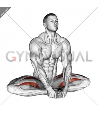 Seated Groin Stretch (male)