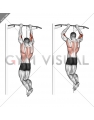 Brachialis Pull-up