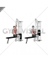 Cable one arm lat pulldown