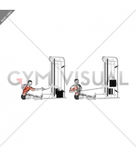 Cable one arm twisting seated row