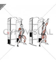 Cable twisting overhead press