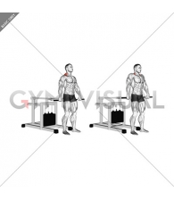 Lever Shrug (bench press machine)