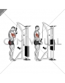 Cable Standing One Arm Tricep Pushdown (Overhand Grip)