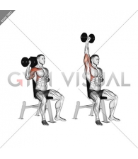 Dumbbell Seated One Arm Shoulder Press