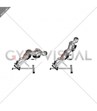 Plate Hyperextension