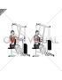 Lever One Arm Seated Row (Seated row machine)